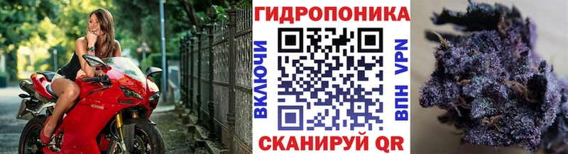 Купить закладку Амфетамин  Мефедрон  Кокаин  Гашиш  Марихуана  Тутаев