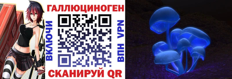 Псилоцибиновые грибы MAGIC MUSHROOMS  Купить  Тутаев 